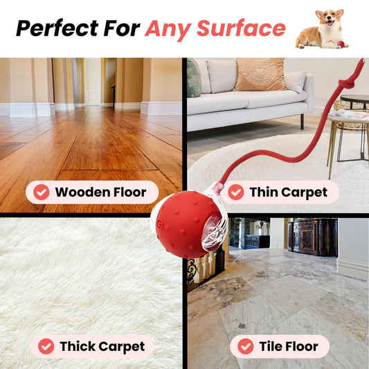 TinyFetch Dog Toy™