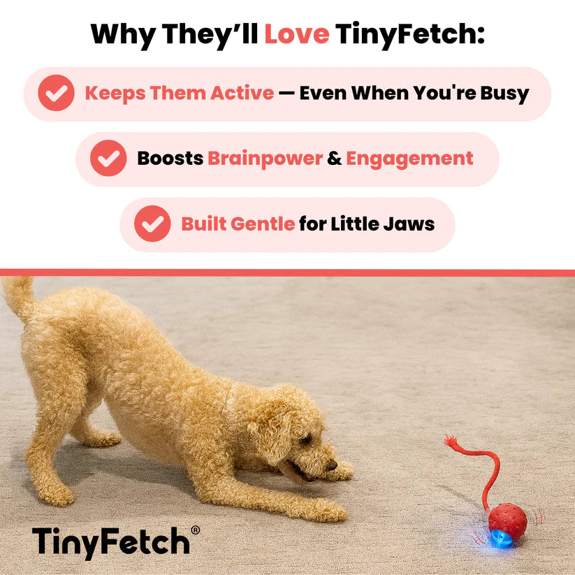 TinyFetch Dog Toy™