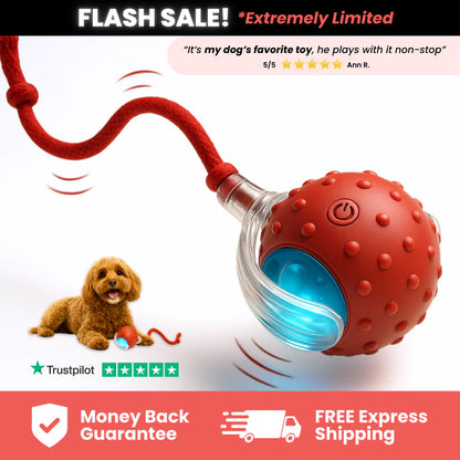 TinyFetch Dog Toy™